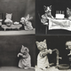 Illustration for article titled Vintage Photos Reveal Century-Long Obession with Dressing Up Pets
